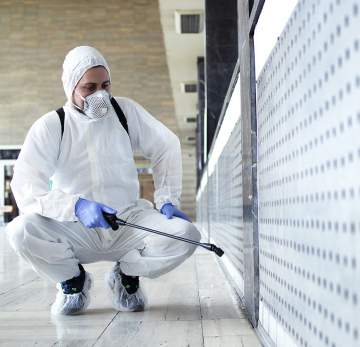 Dératiseur à Bordeaux : dératisation, désinsectisation, désinfection Dératiseur à Bordeaux : dératisation, désinsectisation, désinfection