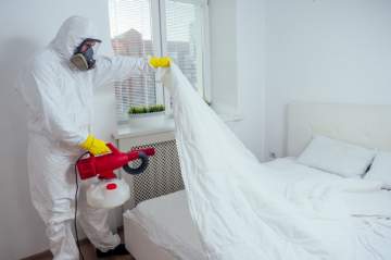 Quel est le traitement le plus efficace pour exterminer les punaises de lit ? Quel est le traitement le plus efficace pour exterminer les punaises de lit ?